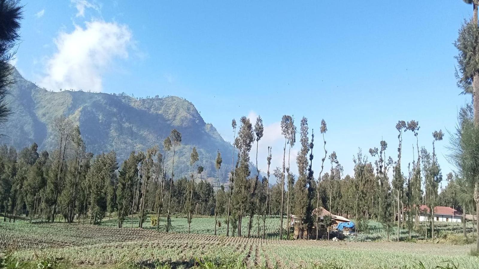Tengger Indah Seruni Bromo Probolinggo Kültér fotó